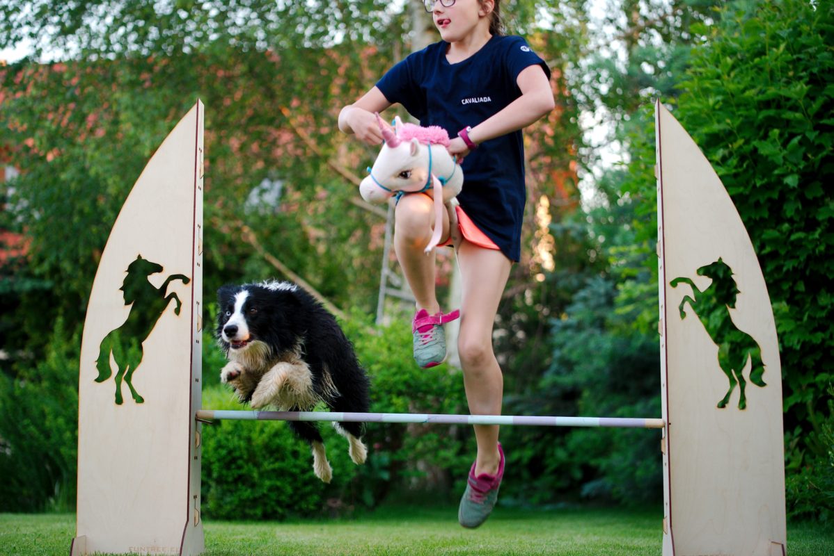 HORSE obstacle 120 cm Hobby Horse Funtree Zbuduj swoją wymarzoną